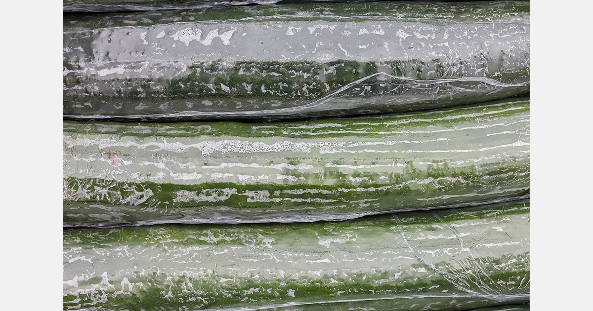 Wales weighs plastic ban on fruit and vegetable packaging