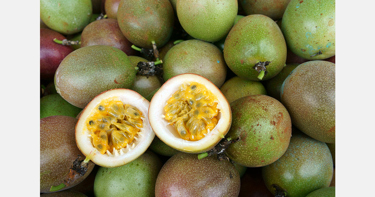 Vietnamese passion fruit exports approach US$250 million