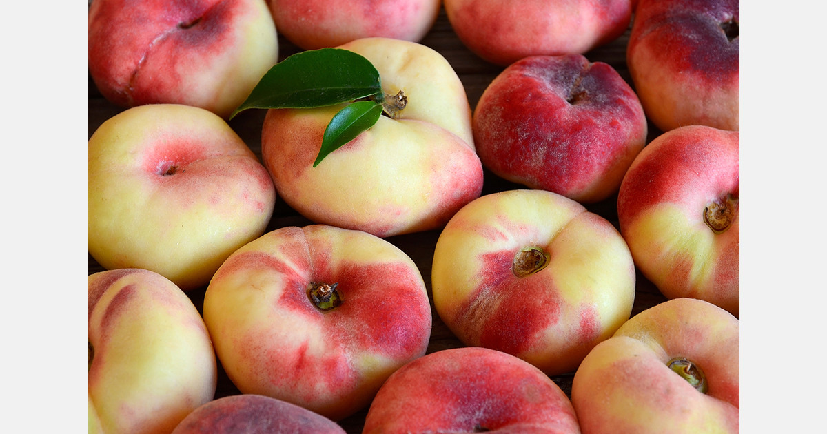 Armenia expands flat nectarine production as European demand grows