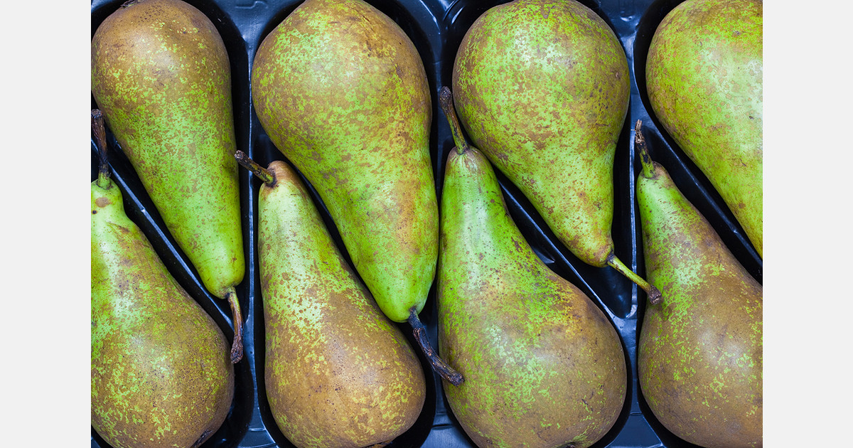 Pear shipment returned to Belgium over missing phytosanitary certificate
