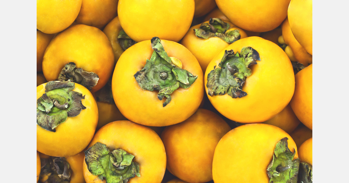 Brazilian fruit projects focus on GlobalG.A.P. certification