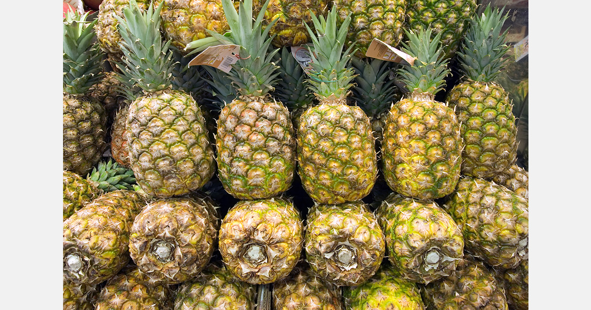 The Spanish Senate passes a motion to criminalize the illegal import of tropical fruit