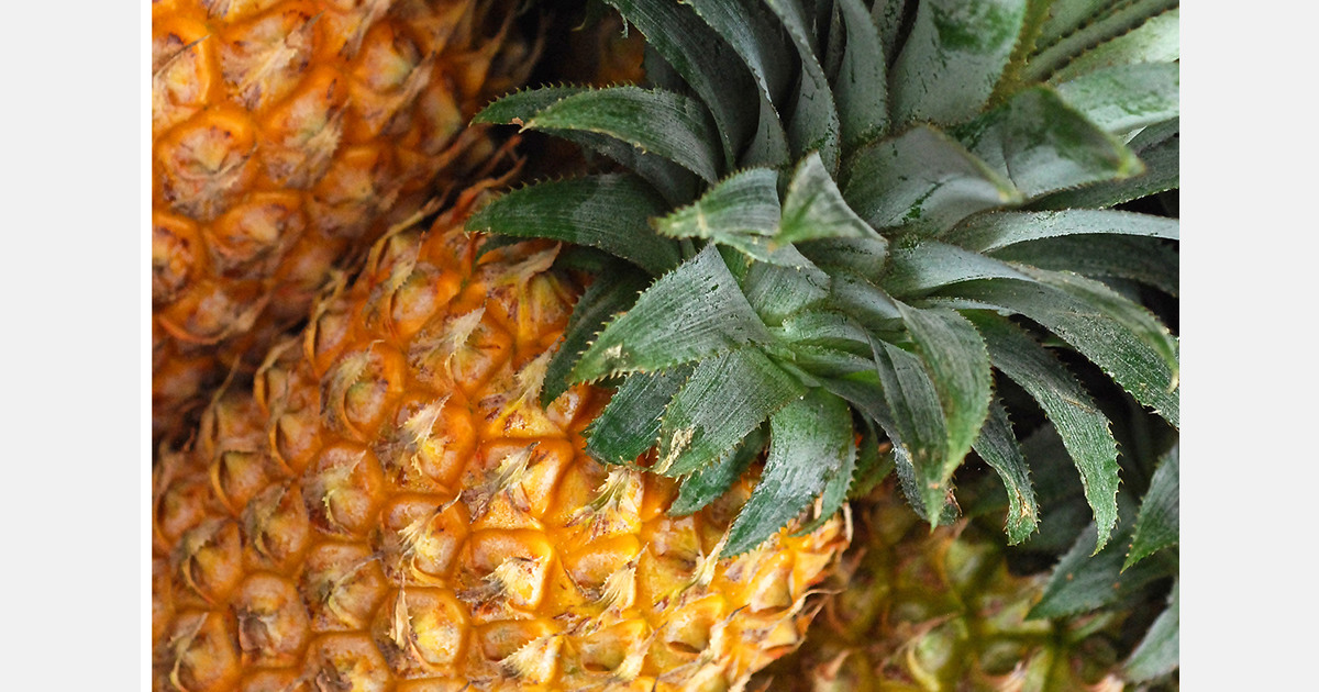 Georgian pineapple import value rises 13.5%