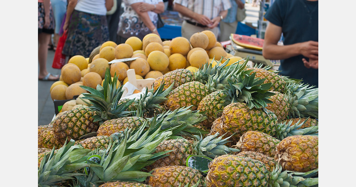 FreshPlaza Global Focus on Exotic and Tropical Fruit