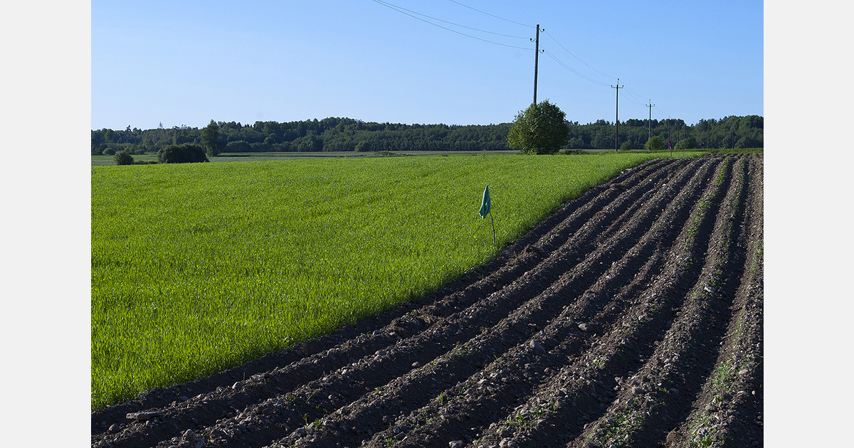 UK to host regenerative farming research site in 2026