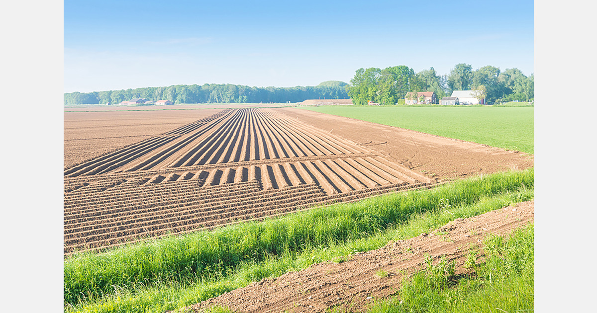 EU Mercosur agreement faces delay as trade imbalance weighs on fruit and vegetable sector
