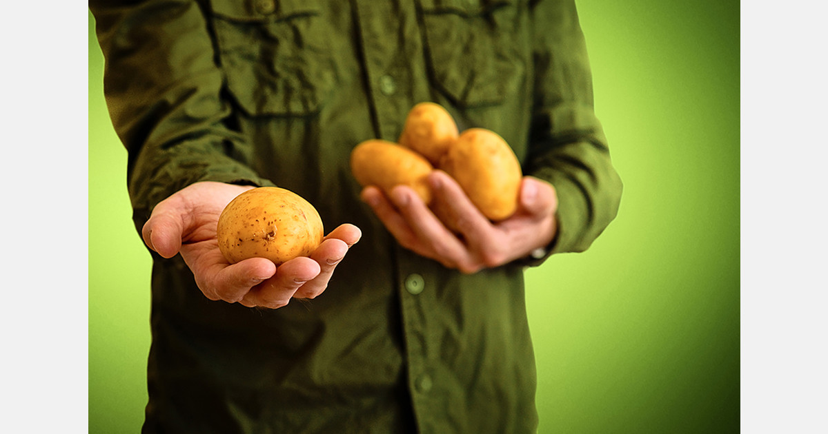 Senate effort keeps potato classified as a vegetable in the U.S.