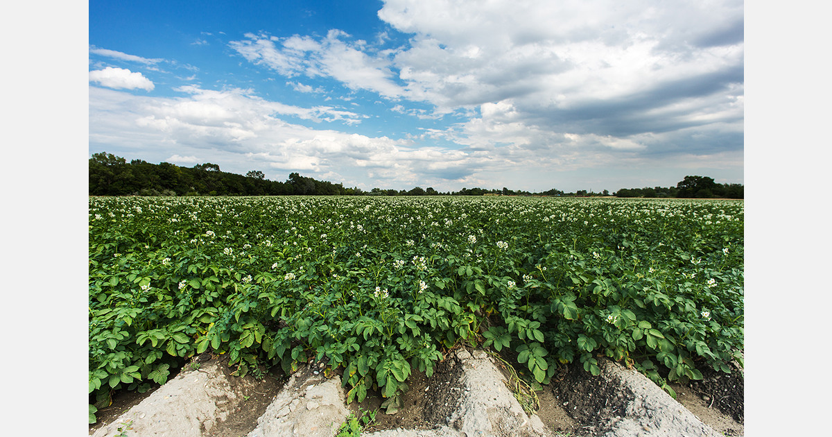 Georgian fertilizer imports rise in Q1 while exports decline