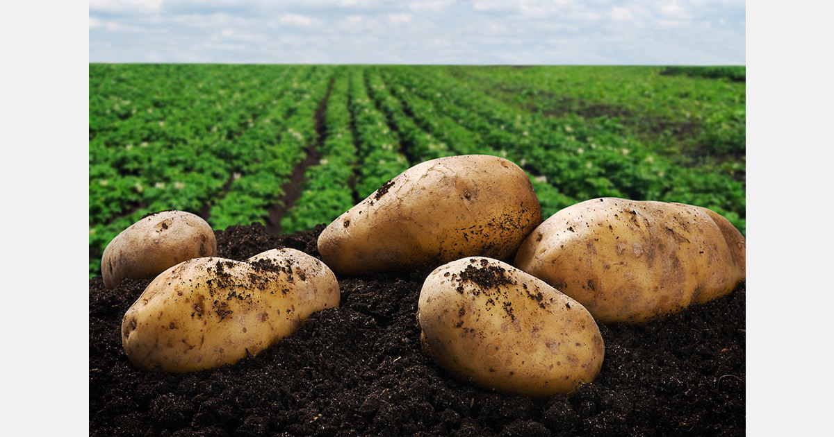 India opens Global Potato Summit 2025 in Greater Noida