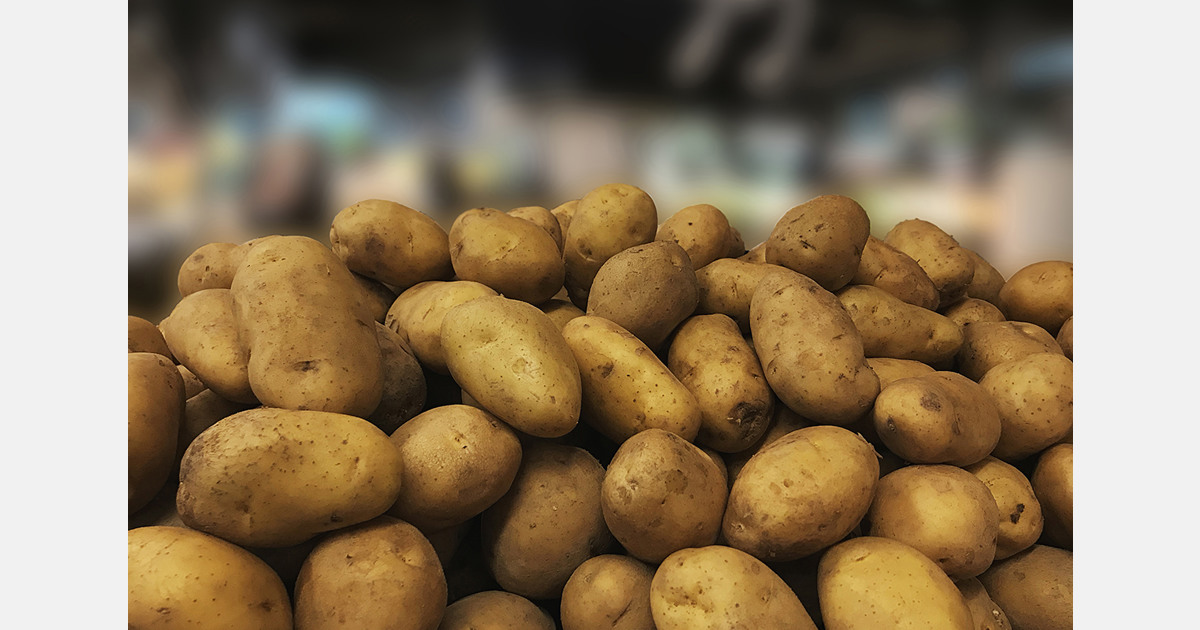 Tanzania en Nederland introduceren richtlijnen voor de aardappelproductie