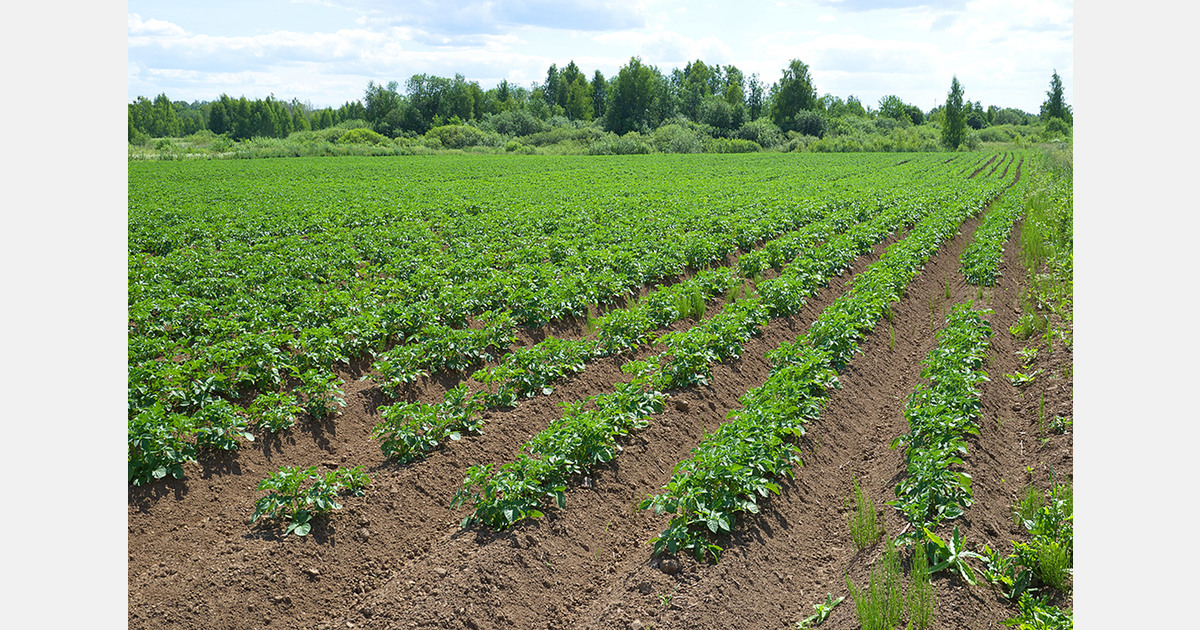Американские фермеры ждут миллиардную помощь при росте затрат