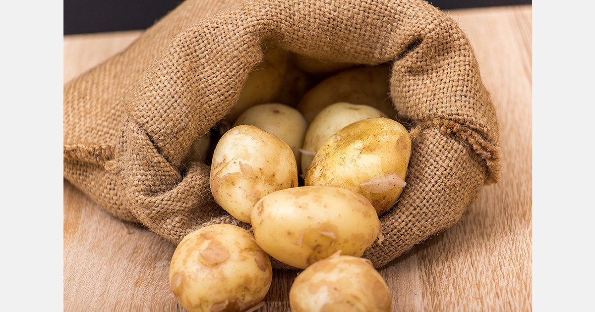 Ukrainian potato imports reached 123,140 tons in October