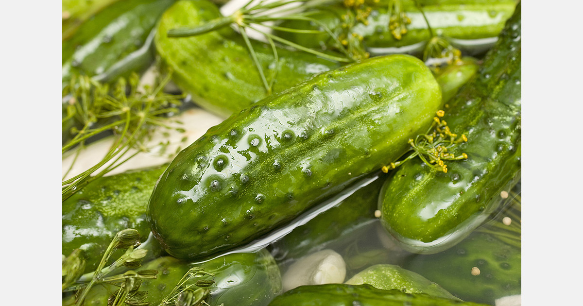 Ukraine’s growers expand vegetable production and storage amid extreme heat and rising water costs