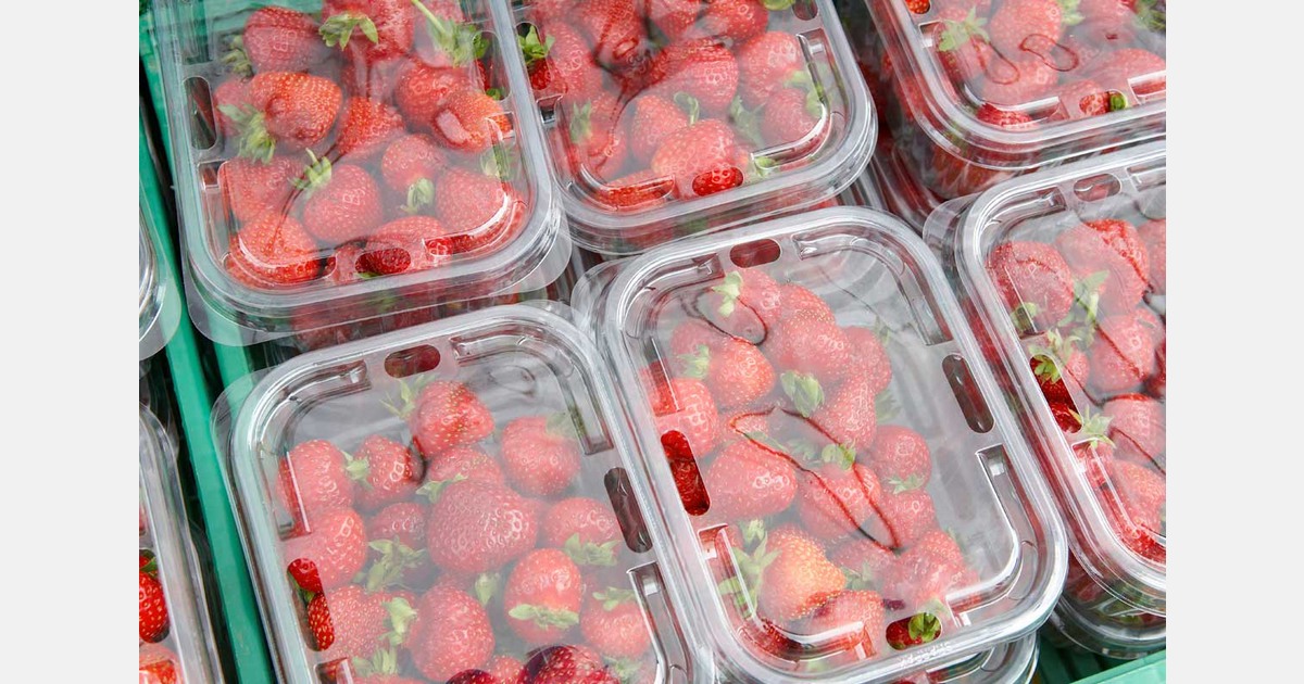 "The supply of Spanish strawberries is recovering and is even higher than usual at this time of year"