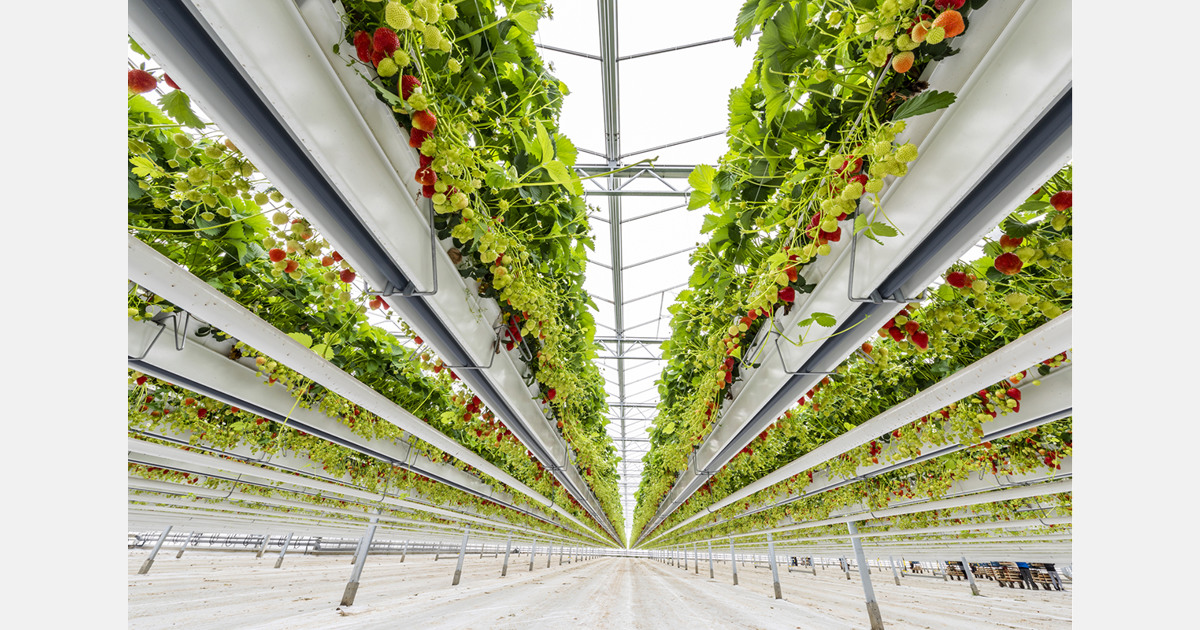 Virginia awards $610,350 in specialty crop grants – FreshPlaza