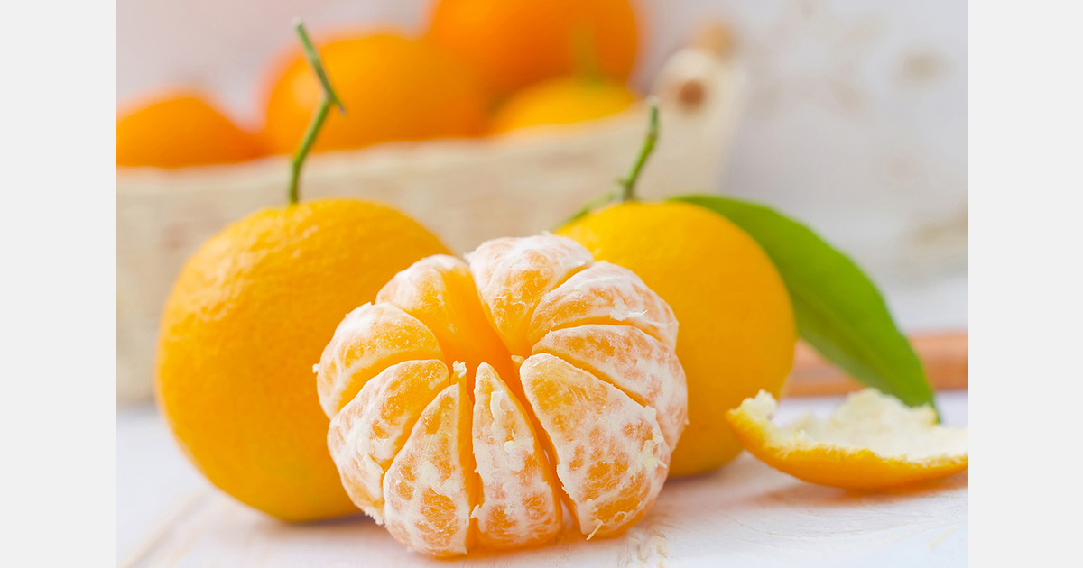 Turkey and Egypt double their exports of small citrus to the EU