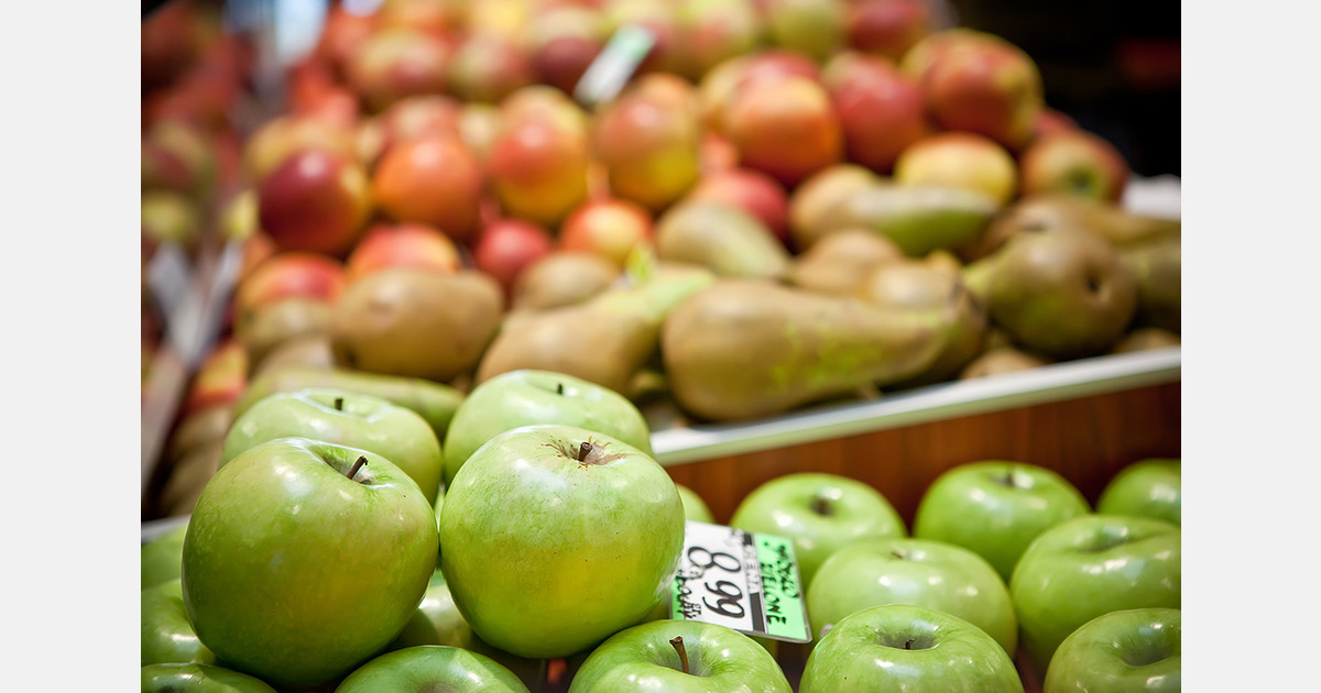 Small-scale farms underpin global food consumption