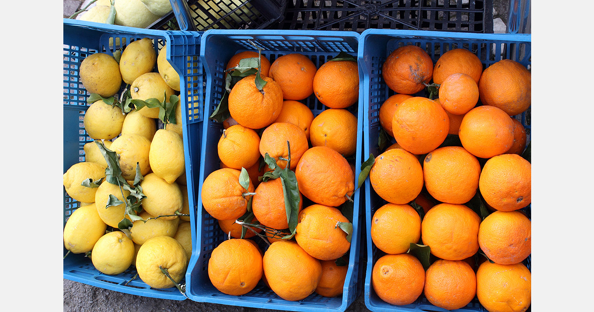 La Unió and AVA-ASAJA warn about the impact of the EU-Mercosur agreement