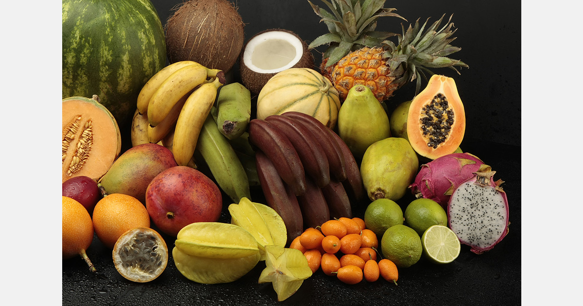 Belarus expands access to exotic fruits