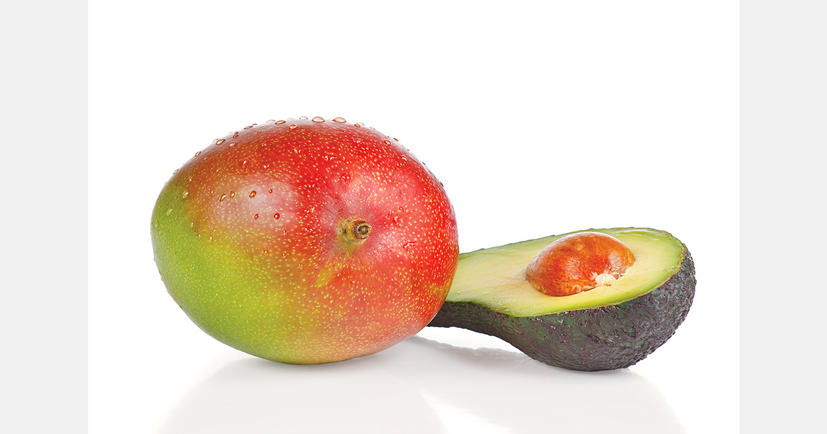 Spain launches EU-backed campaign for Axarquía avocados and mangoes