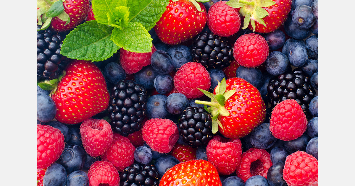 Blueberries and strawberries linked to brain health benefits