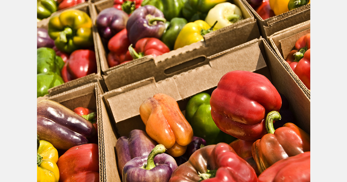 Ukraine needs 120 large vegetable storage facilities