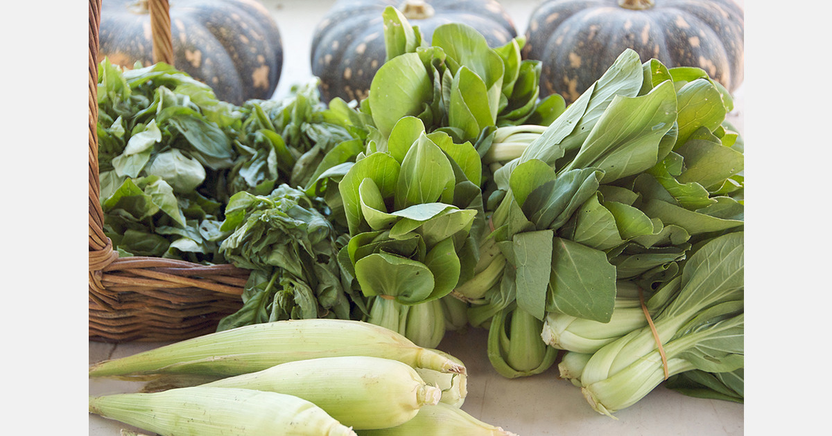 Malaysian rains push Kuantan vegetable prices higher