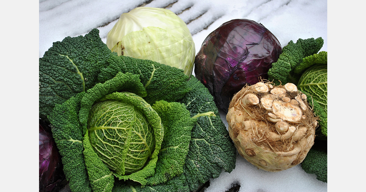 Romanian domestic vegetable production increasing