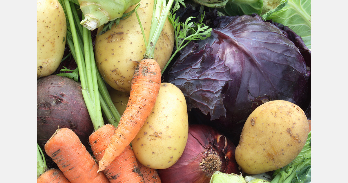 Blueberry prices stay weak as South African vegetable demand lifts