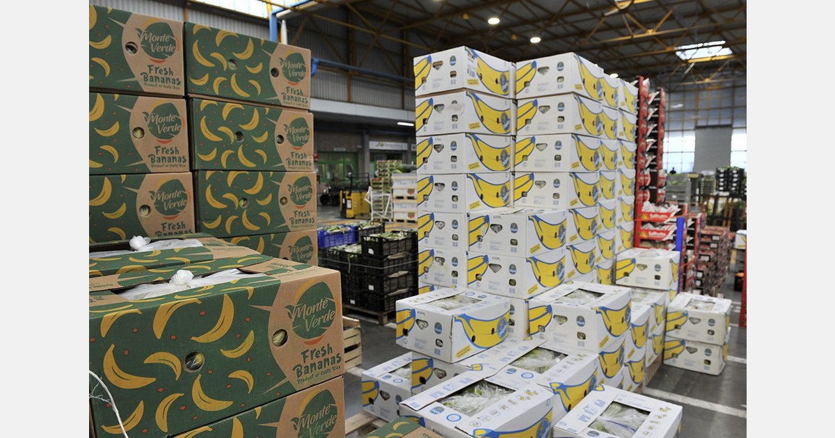 UK firms seek compensation for border control facilities