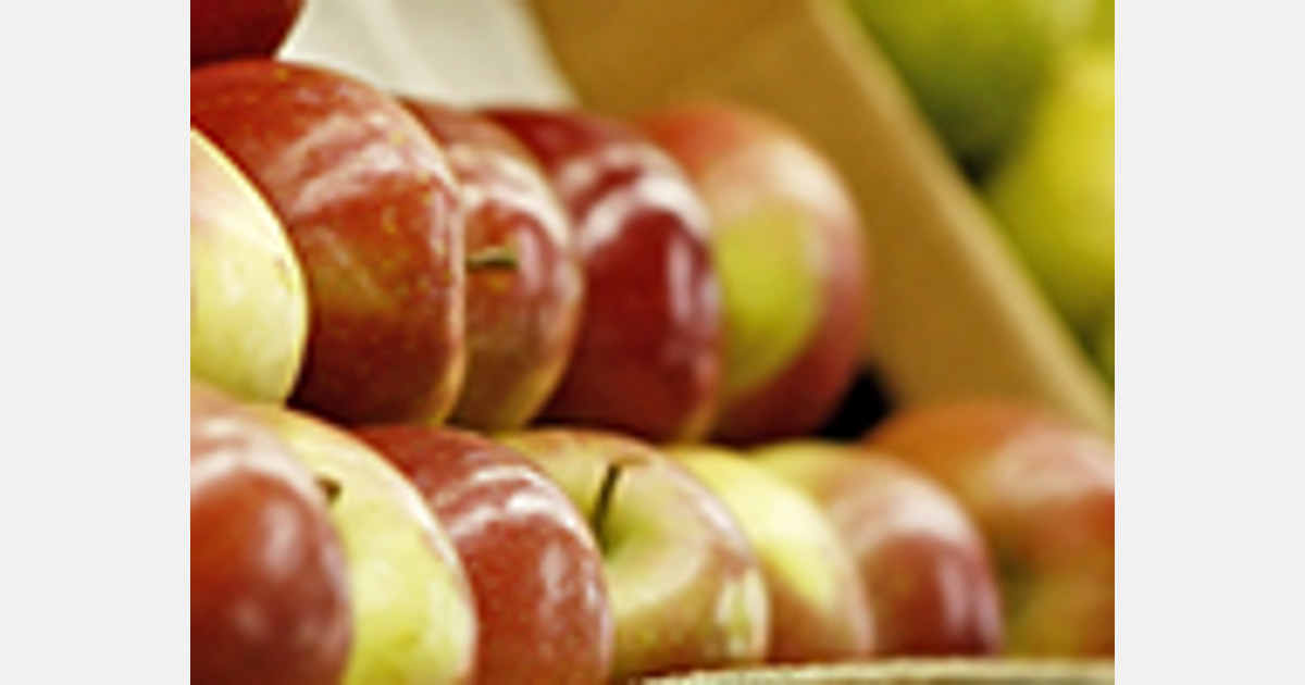 Ceny jabłek wzrosły w sierpniu