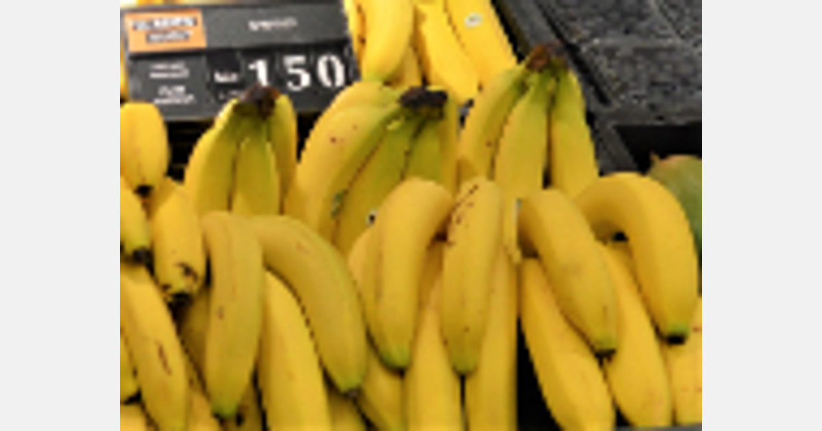 Photo of ¿Cómo llegó a México el plátano, la fruta tropical más consumida del país?