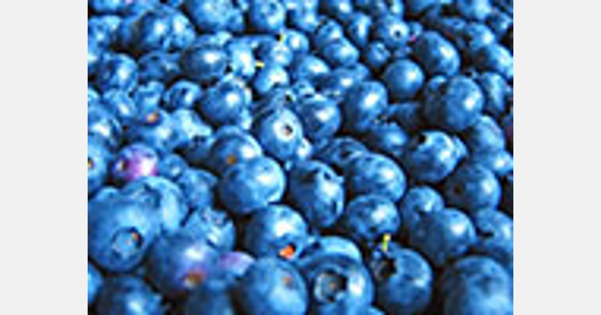 Avanza estrategia de diversificación de mercado de frutas de Chile en el sudeste asiático
