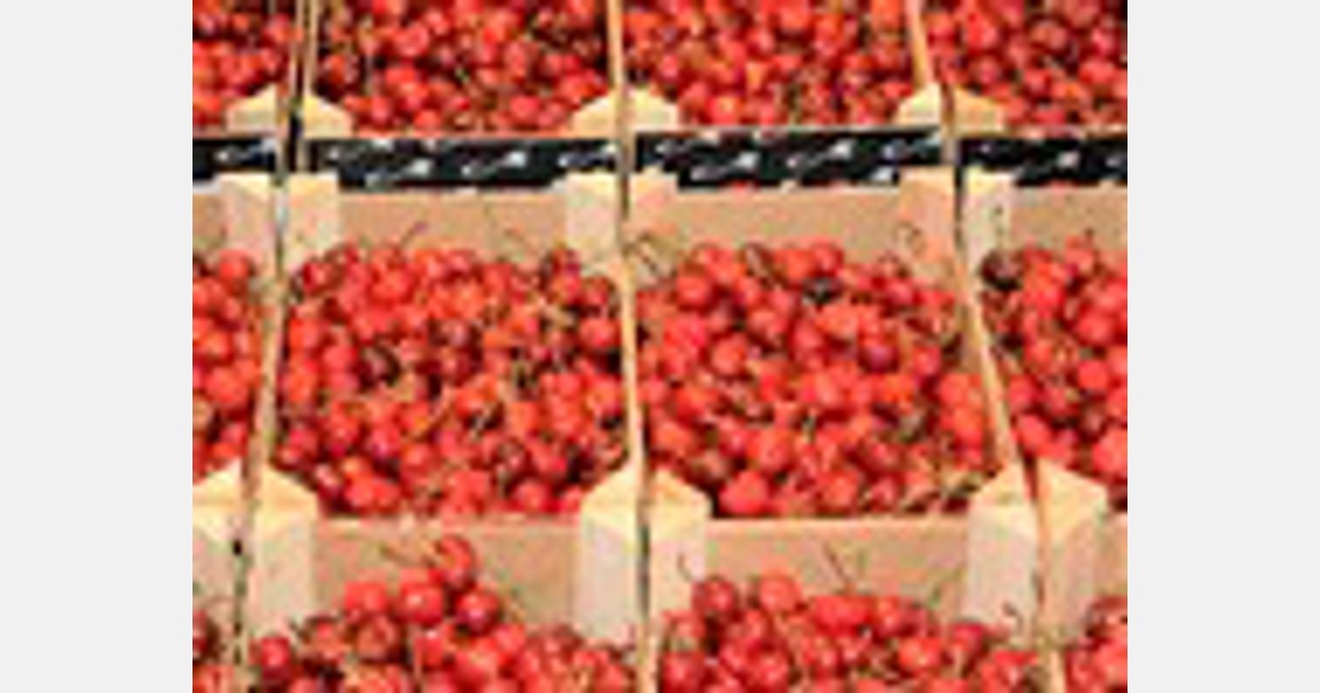 Exportaciones de fruta fresca de Chile aumentaron hasta mayo