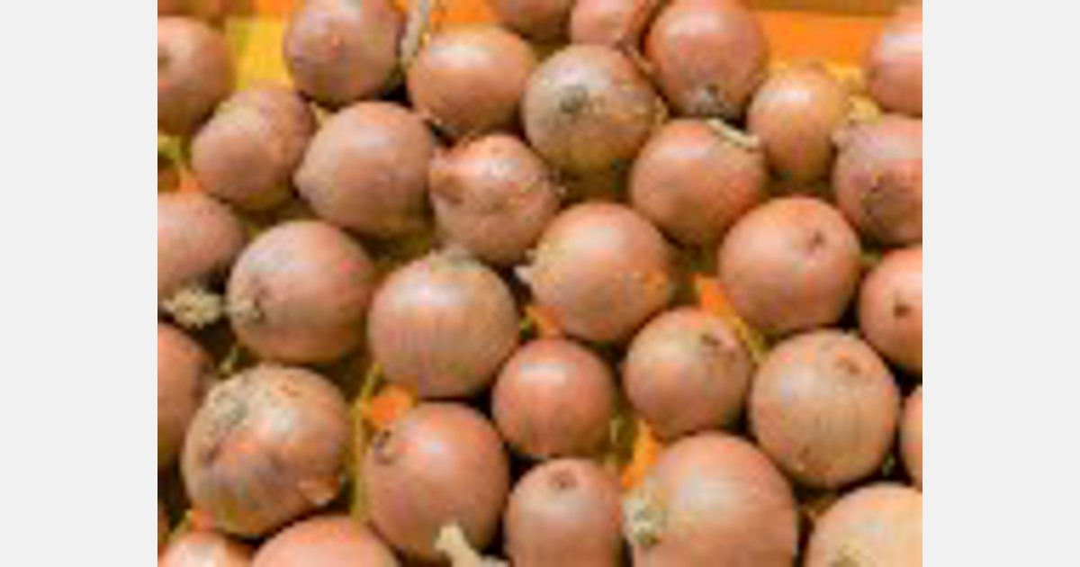 Philippines DA arrests retailers for violations on onion prices