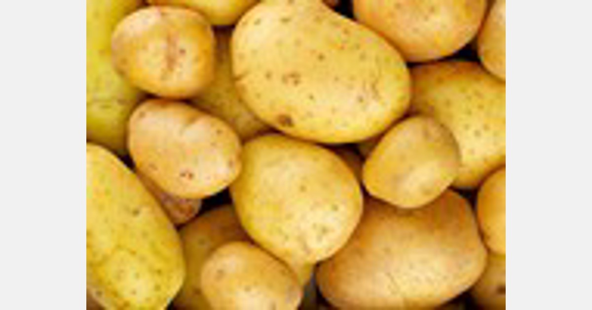 Grupo Intersur establece en Tordesillas su segundo nuevo centro de producción de patata en España