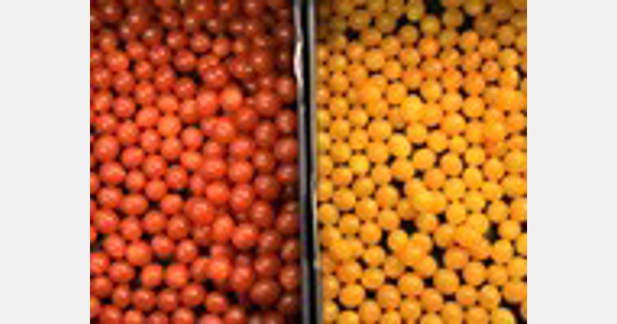 Deutschland kaufte mehr Tomaten aus Marokko und weniger Tomaten aus Spanien und den Niederlanden