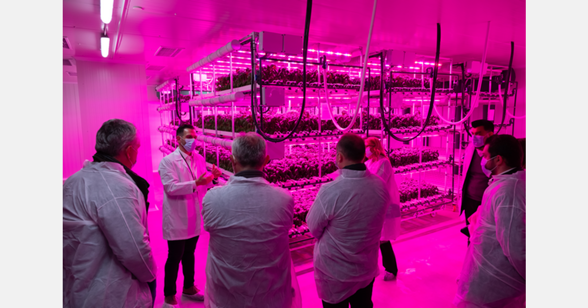 1500m2 vertical farm opened inside well-known shopping mall Export