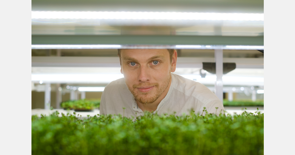 Grønt fra Nord enters court-supervised restructuring following crop losses and withdrawn financing