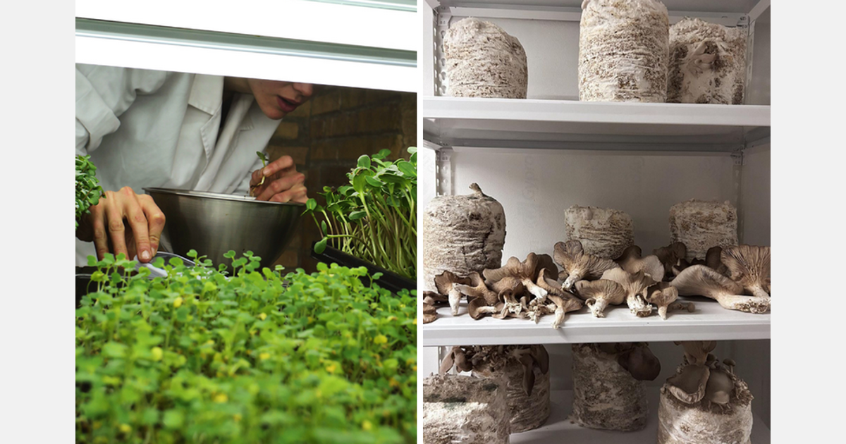 La granja vertical española prevé expandirse tras su exitoso lanzamiento