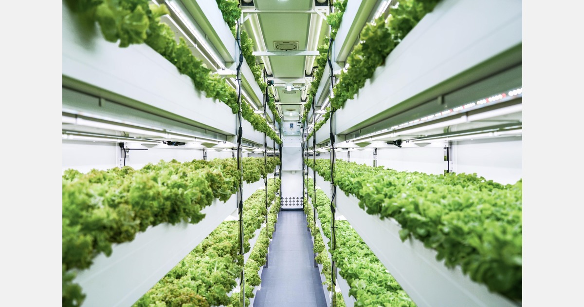 “We are training local farmers and schools, bringing vertical farming technology into education”