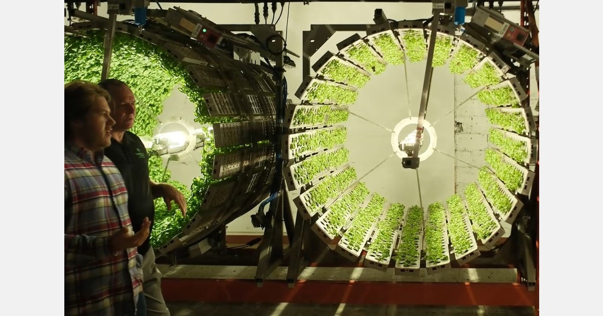 “If you think about the farm as the body, we’re the nervous system”