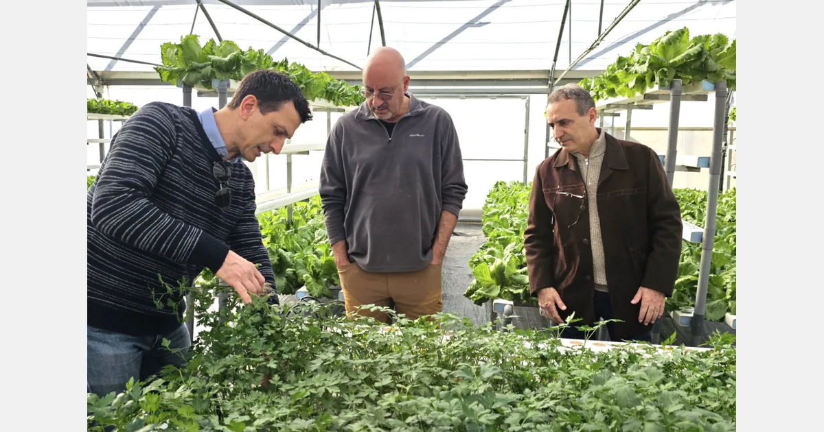 “We maintain the efficiency of CEA while staying adapted to Lebanon’s climatic and economic constraints"