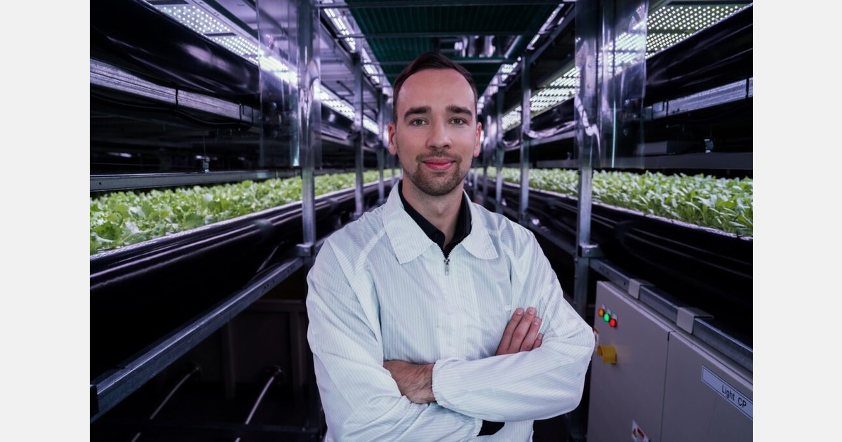 “We tested multiple varieties to identify those that deliver a clear cucumber taste early in their growth”