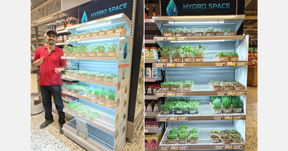 "I had to either sell my company or file for bankruptcy"