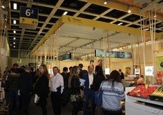 A nice crowd for the Belgians.