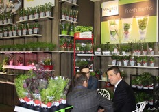 Steven Lauwers from Vegobel in conversation.