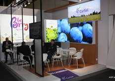 The South American blueberry producer CarSol opened a sales office in Rotterdam back in 2013