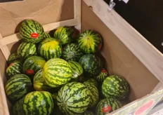 Watermelons must be selling fast, else they wouldn't be taking pallets at a time.