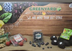 Greenyard - https://www.greenyard.group/